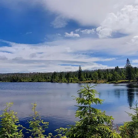 Wanderfalke By Interhome Апартаменты