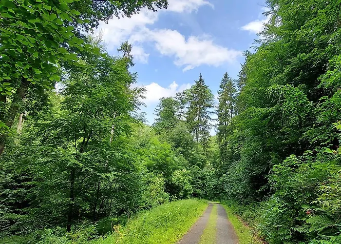 Wanderfalke By Interhome Appartement