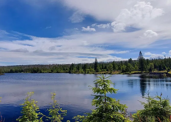 Wanderfalke By Interhome Daire