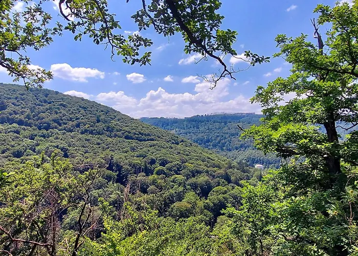 Daire Wanderfalke By Interhome *